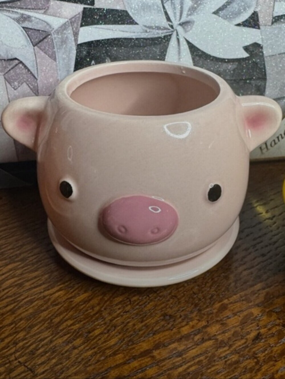 Pig pot for potted plants,  Small Size, New Wit Tags